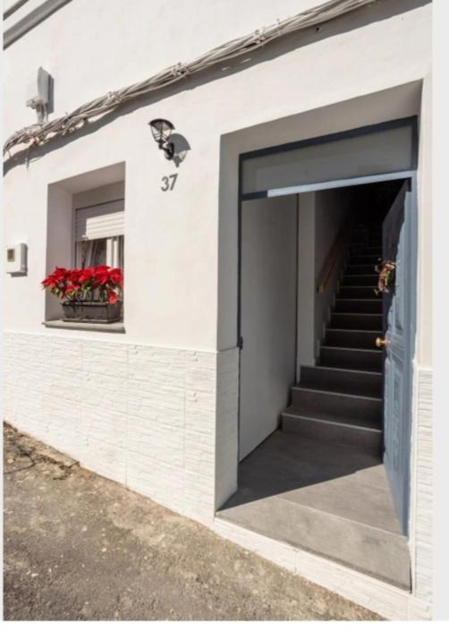 Casa Chano Estudio Confortable Tenerife Icod De Los Vinos Zewnętrze zdjęcie